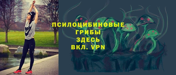 соль ск Нефтекумск