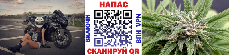 даркнет Telegram  где продают наркотики  Шахунья  Канабис THC 21%  гидра маркетплейс 